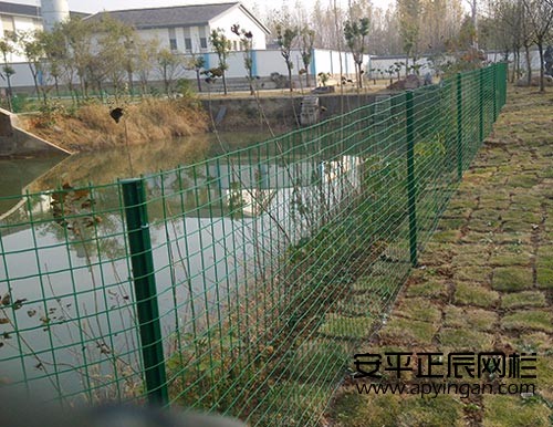 安平正辰養鴨圍欄網 廠家直銷